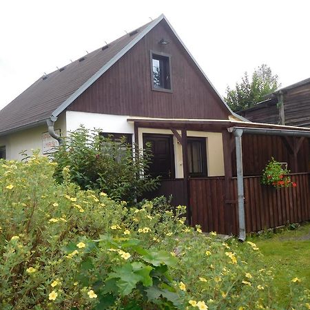 Apartman U Marusky Chřibská Oda fotoğraf