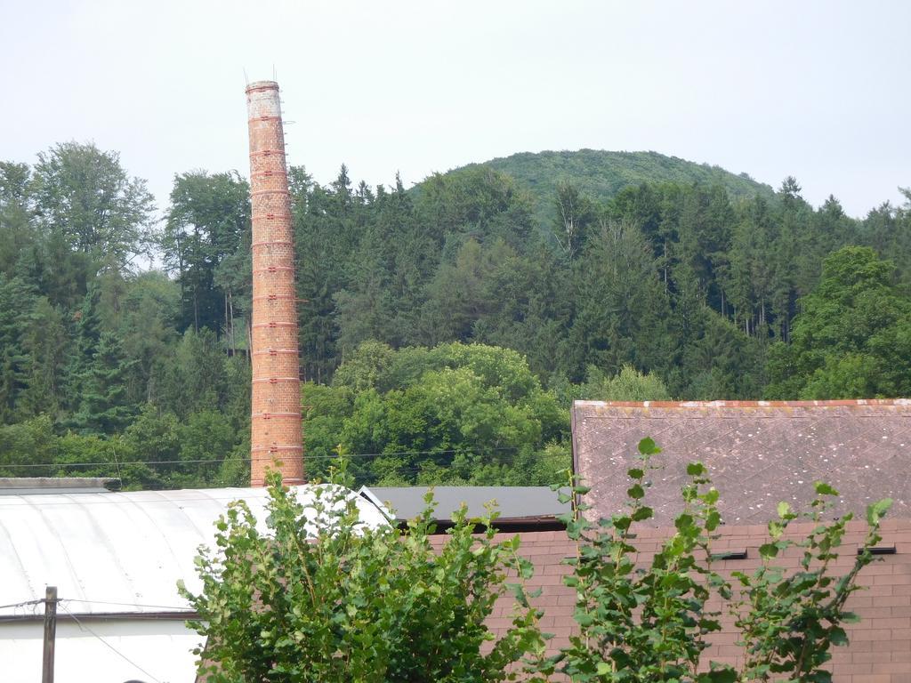 Apartman U Marusky Chřibská Oda fotoğraf